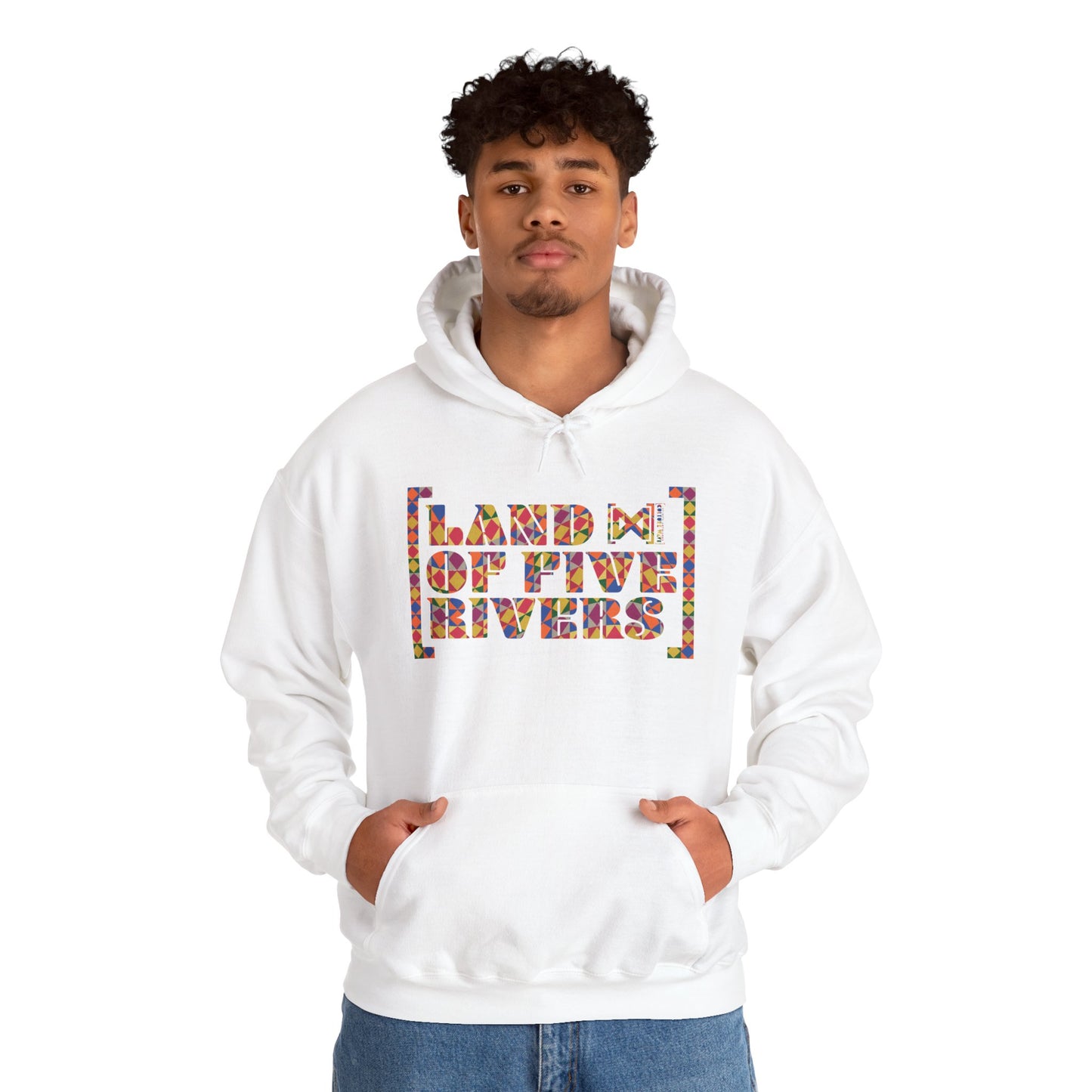 Culture Wave Phulkari Unisex Heavy Blend™ Hooded Sweatshirt
